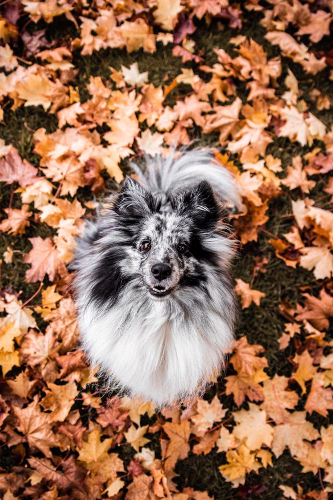 main Andrea Brataas Wr Wvwd4eye Unsplash