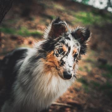 Jaromir Kavan Kfb Dyuujgw Unsplash Jaromir Kavan Kfb Dyuujgw Unsplash