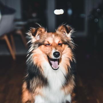 Krisztian Tabori 6Ruarbltvlu Unsplash